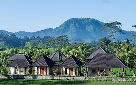 Gongwi Cottages Sidemen